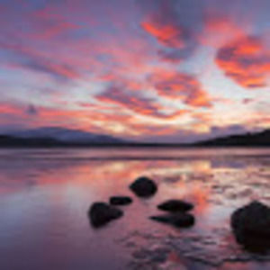 Meet your Posher, Sally